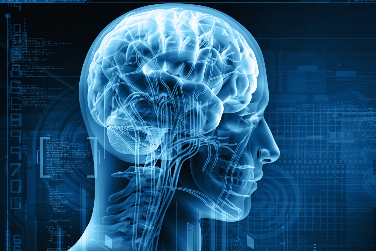 Types of Neurology Services