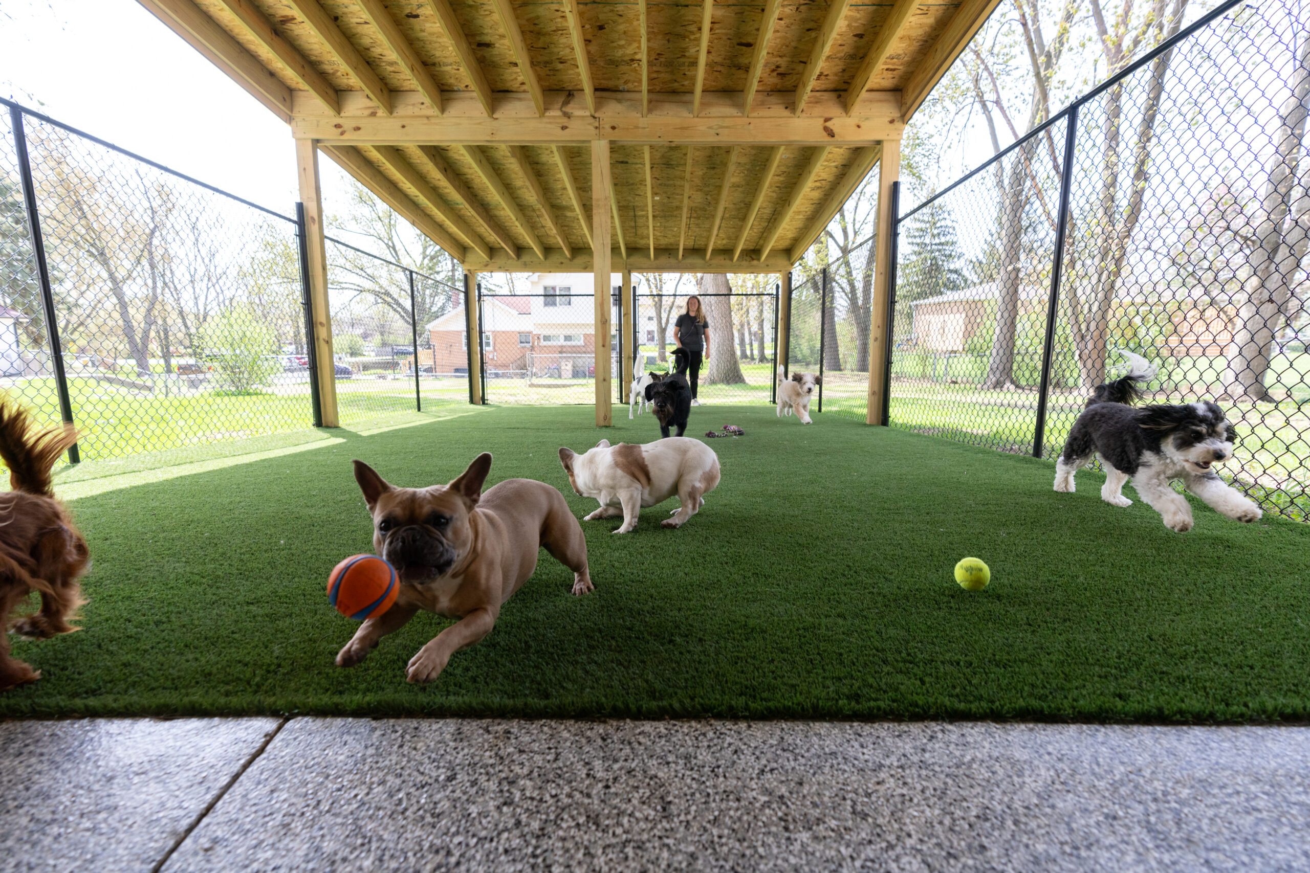 The Benefits of Regular Dog Daycare for Busy Pet Parents