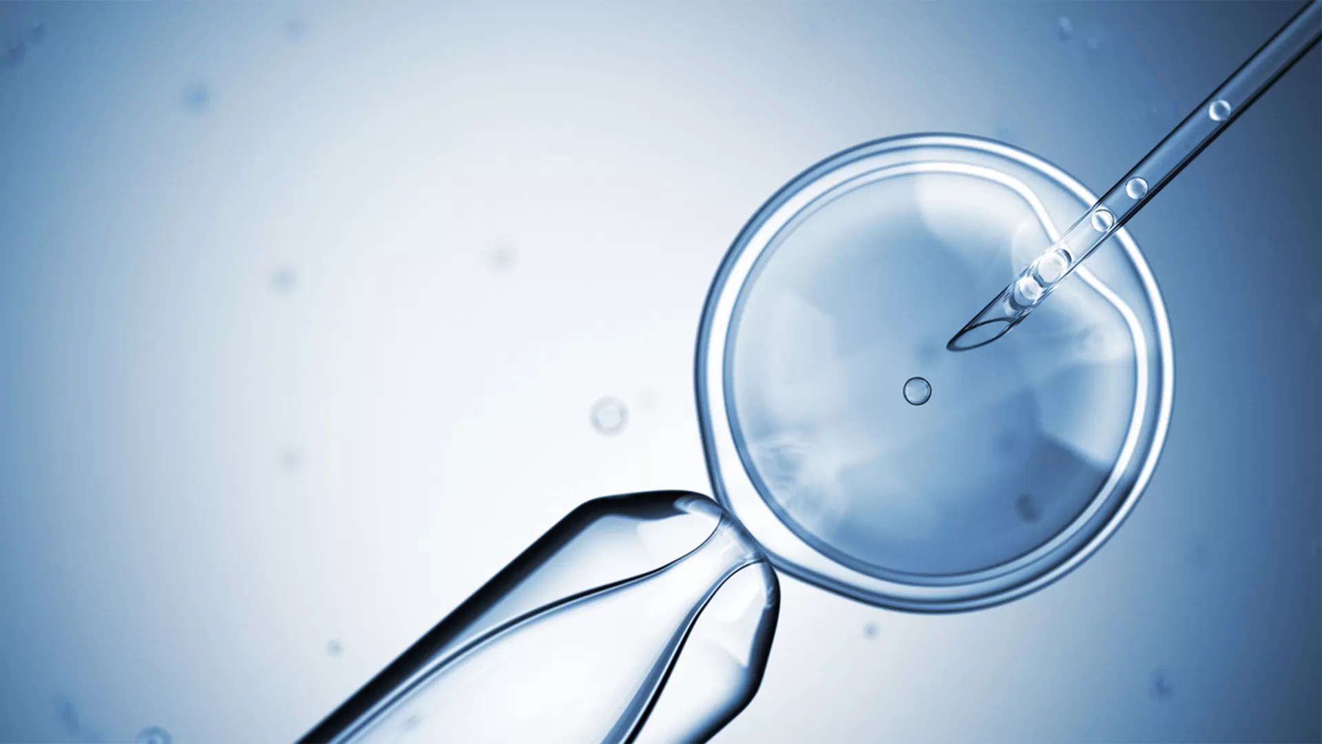 The Advantages of Insemination Over Traditional Methods